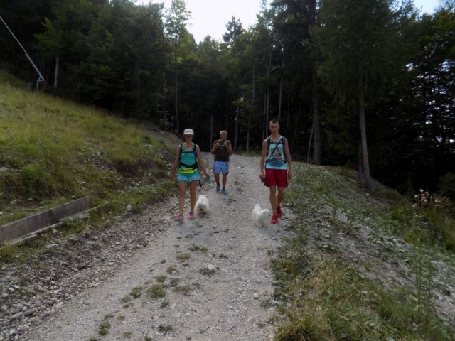 mojcin-dom-na-vitrancu-6